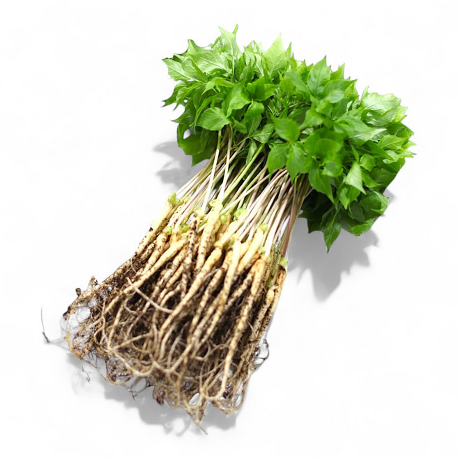 유황새싹삼 가정용 샐러드용 100뿌리(엄마의농장), 2g, 100개