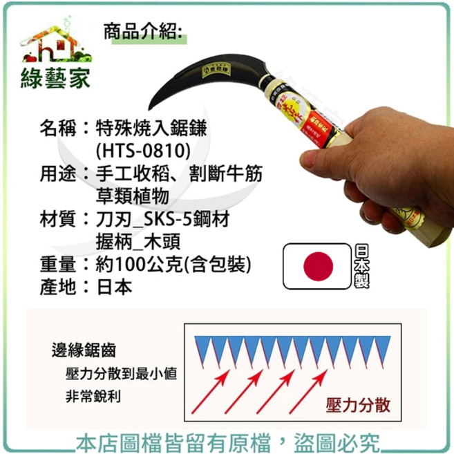 綠藝家 特殊燒入鋸鎌 HTS-0810 日本製造 鋤草 割草 鐮刀, 1個