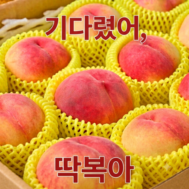 [한정역마진특가] 하루50박스한정 고당도 백도 딱딱이복숭아, 1박스, 2kg(중과)