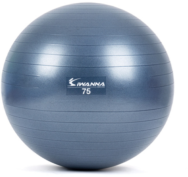 아이워너 안티버스트 앤 마사지 짐볼, 블루 인디고