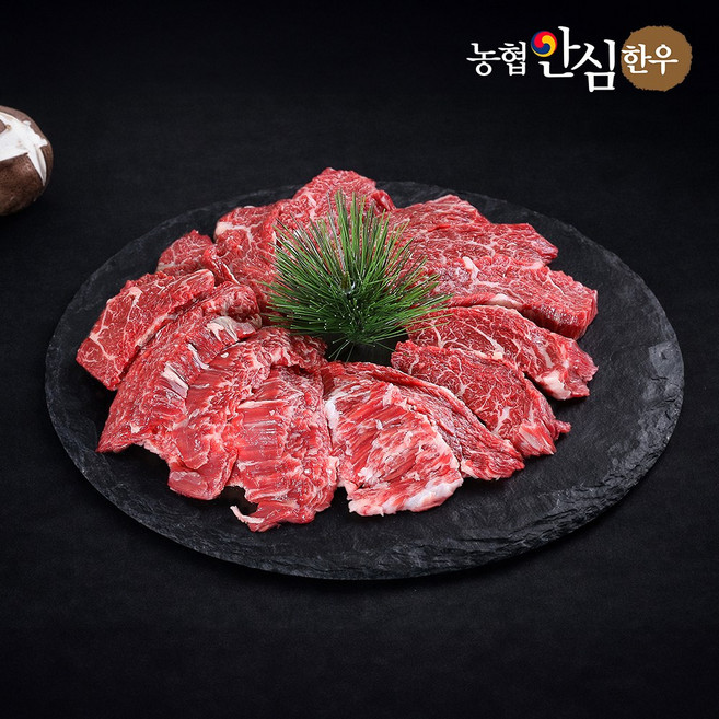 [농협안심한우] 1++ 투뿔 한우 치마살 구이용(냉장), 300g, 1개