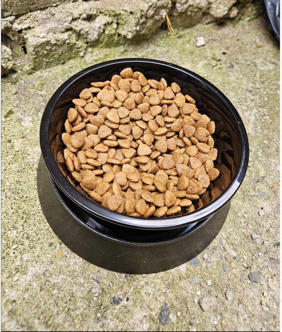 길고양이 개미방지밥그릇, 1개, 검정