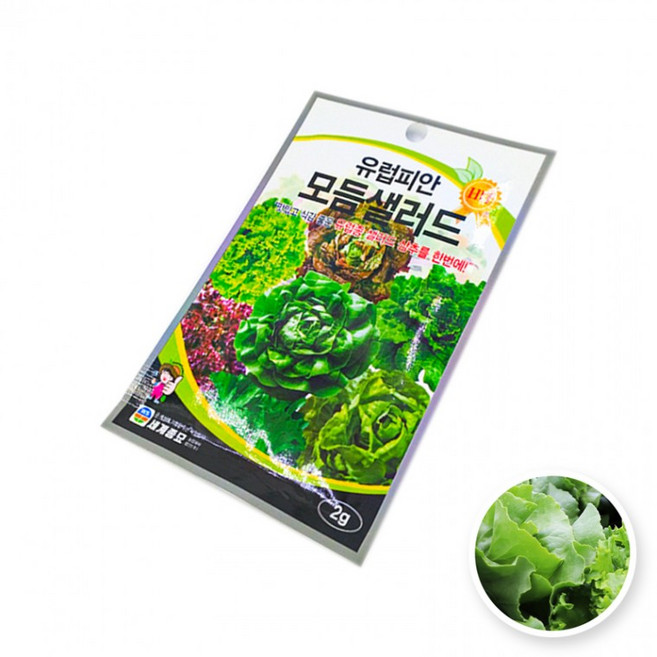 세계 쌈 채소 모듬 종자 샐러드 홈 원예 가드닝, 모듬유럽피안샐러드2g, 1개