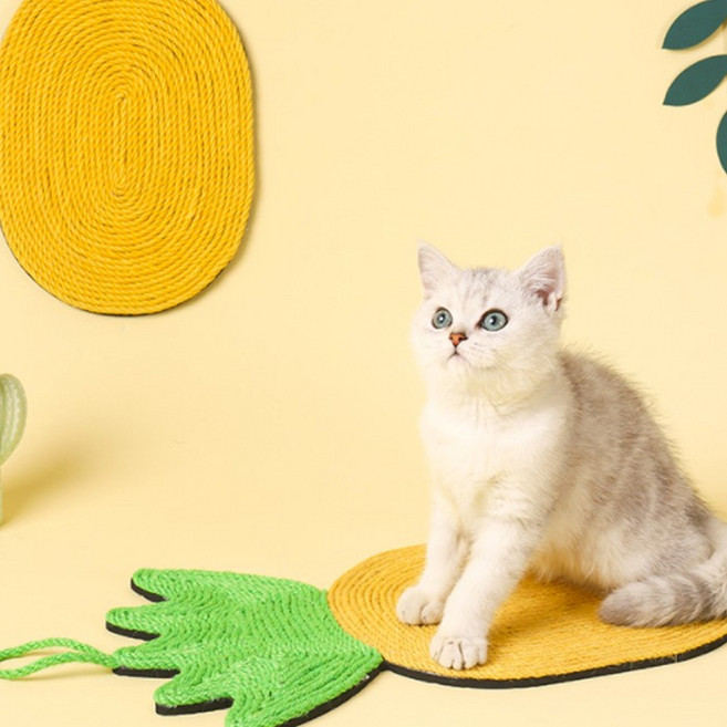 멍냥이랑 고양이 파인애플 벽걸이 부착 스크래쳐, 1개, 파인애플벽걸이