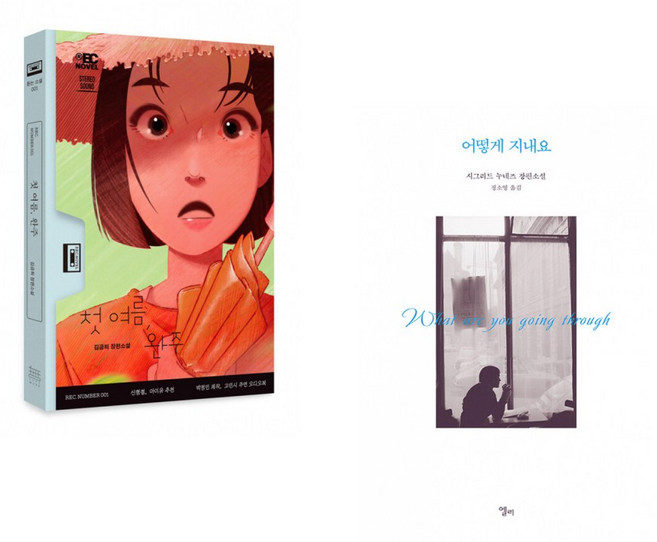 첫 여름 완주 + 어떻게 지내요 (전2권)