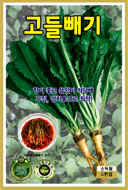 KS종묘 고들빼기 씨앗 5천립 산내음 무침 김치용 향 좋은 쌉싸름한 봄가을 파종 채소종자 ks, 1개