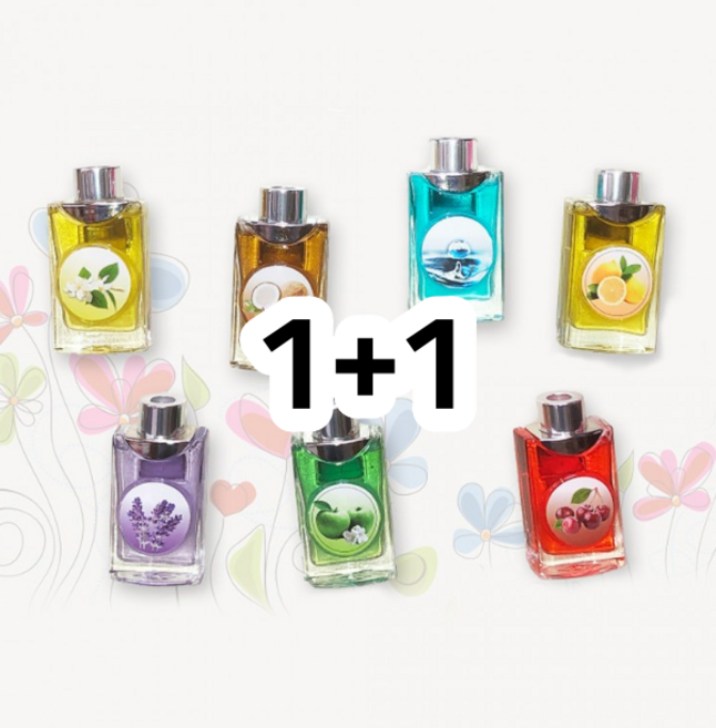1+1 센텍 노블 디퓨저 방향제 / 차향수 디퓨저 자동차, 1세트, 프레쉬코코넛+라벤다