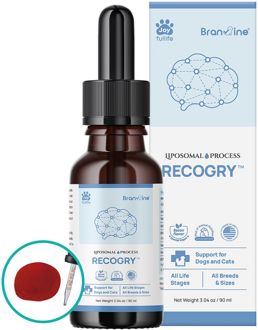 브랜바인 강아지 고양이 두뇌 영양제 리코그리 치매 기억력 인지장애, 1개, 90ml, 뇌/인지