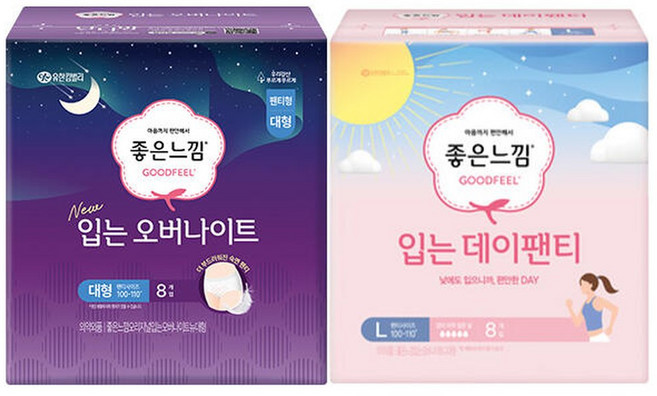 좋은느낌 입는 데이팬티 대형 8매 + 오버나이트 대형 8매, 1개, 8매입