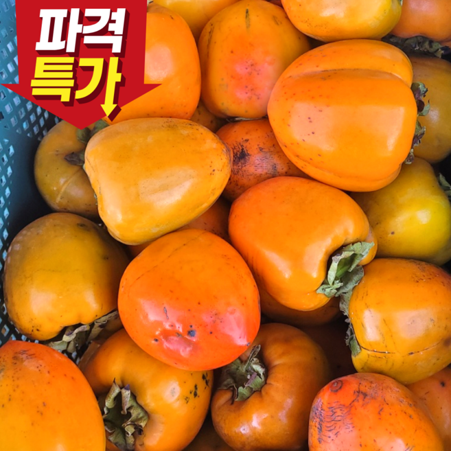 7위 - [파격초특가] 대봉감 햇 대봉감 국산 대봉홍시감, 1박스, 대봉감 3kg