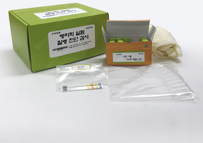 (미래과학)병리학실험(질병진단검사)(5인용), 1개