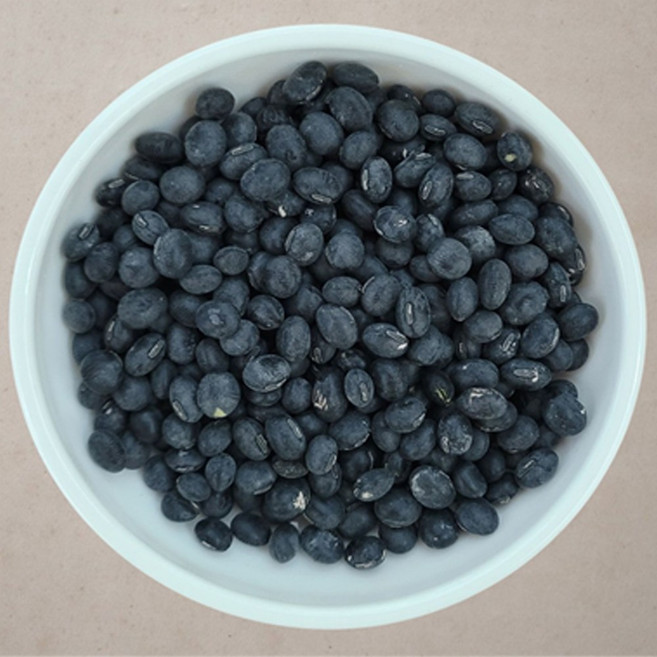 [다온농산] 2025년산 국산 서리태콩 <강원도산> -5Kg- 홍천 인제 횡성농가, 5kg, 1개