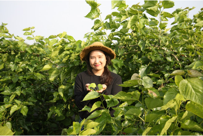 햇오디 오디농부가 직접 만드는 저당도 수제오디잼 250g, 1개