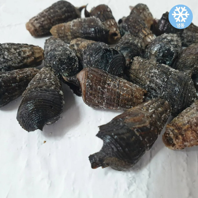 냉동 갯고동 골뱅이 1kg (베트남산) 다슬기, 1개