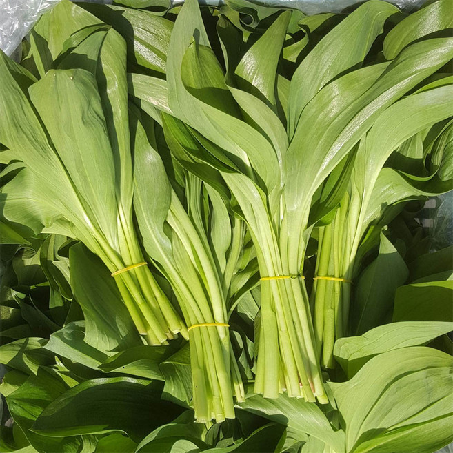 국내산 산마늘 대 명이나물 1kg