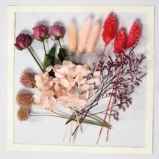 수앤로즈플라워 프리저브드플라워 드라이플라워 천일홍 미니장미 라그라스 말린꽃 색상모음, 핑크