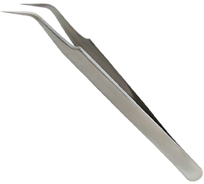 알콩 집기 쉬운 도시락 꾸미기 스텐 핀셋 실버, 1개