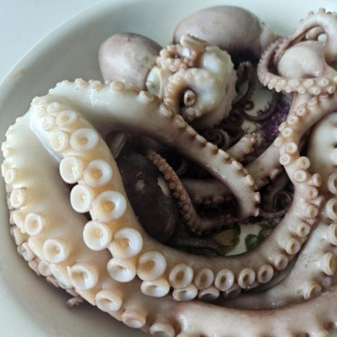 냉동낙지 낚지 왕낙지 3마리 마리당 300g내외 중국산 볶음 업소용