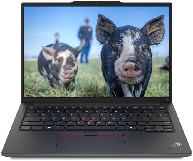 레노버 2025 씽크패드 E14 G6 라이젠7 라이젠 7000 시리즈, Black, 1TB, 32GB, Free DOS, 21M3006UKD