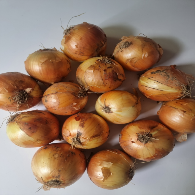 국내산 고령양파 특대 식자재용 대용량, 1박스, 특대 5kg