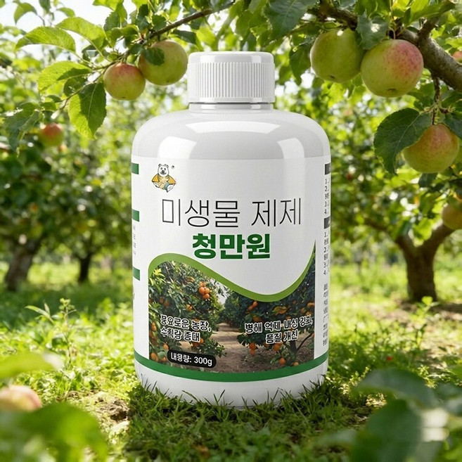 [1병으로 물 500L 희석] 식물.과수 전용 청원 관리제 화초 식물영양제 가정용 화분, 4개, 300ml