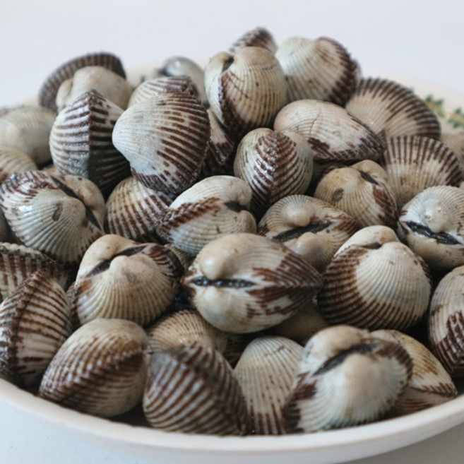 [보성농수산] 통통하고 맛있는 벌교새꼬막 중대 당일채취 산지직송 벌교우체국택배로 보내요, 1개, 새꼬막 중 2kg