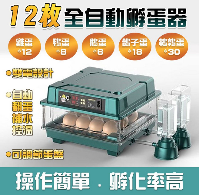 全自動智能孵蛋器 自動翻蛋 雞鴨鵝鴿子孵化機, 美規12枚雙電機【全自動控溫補水】