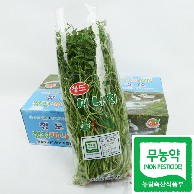 [품질보장] 무농약 청도 미나리 특품, 1kg, 1개
