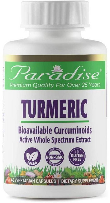파라다이스허브 터메릭 강황 추출물 캡슐 Paradise Herbs Turmeric, 60정, 1개