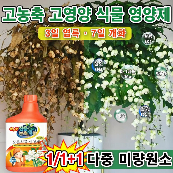 [화초 영양제 +토양활력제]1/1+1화초 영양제 겨울철 가정용 모든 식물영양제 토양 영양제 칼슘 붕소 마그네슘 인 다중 미량원소 병균 예방 치료 식물이 생기를 되찾다, 1개, 500ml