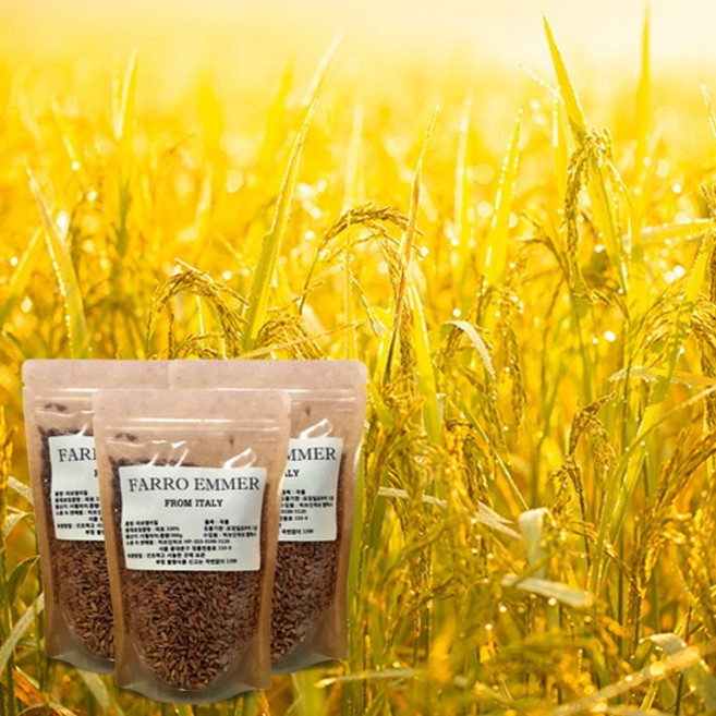 [파로인허브]건강곡물 파로 엠머밀 300g x 3봉, 없음, 상세 설명 참조