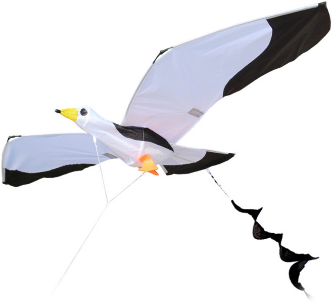 GHSHOP 어린이를 위한 3D 갈매기 연 비행하기 쉬운 야외 게임 및 활동 장난감 싱글 라인 연 여름 야외 가족 여행 즐기기, 폴리에스터, 하얀