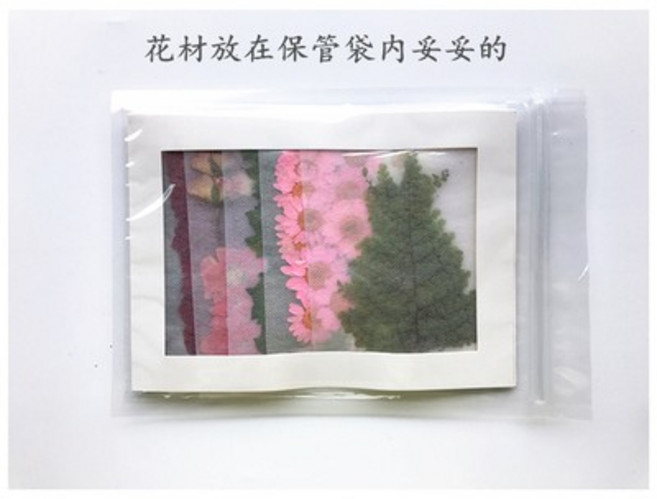 押花材料保存袋 15x21公分 附乾燥花材與相框, 1個