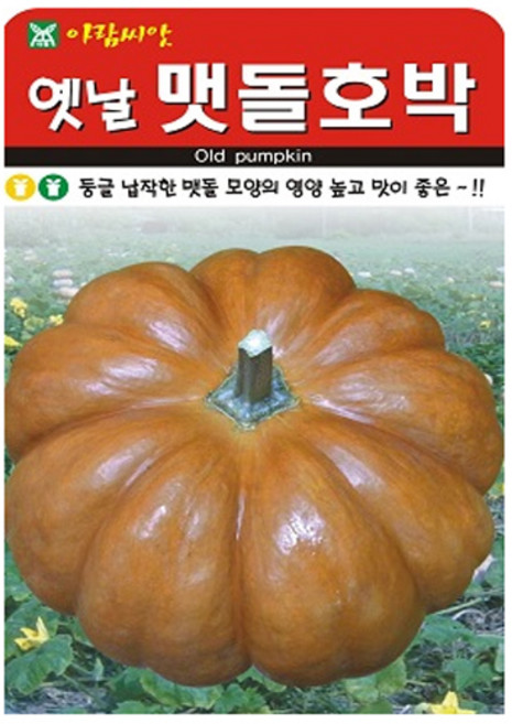 옛날맷돌 호박 씨앗 호박씨 늙은호박 호박씨앗, 3개