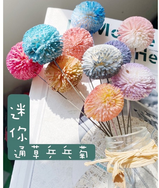 乒乓菊通草花迷你乾燥花束素材 母親節花束 花盅材料 DIY花材包 居家裝飾 永生花, 6
