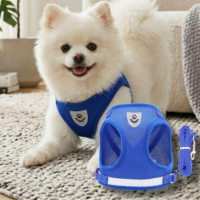 오브리버티 야간 산책 안심 빛 반사 스티치 강아지 하네스 리드줄 세트, 1개, 블루