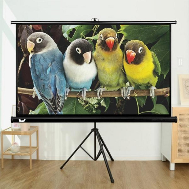 (태리) 16:9 와이드 일체형 유압 족자 가정용 휴대용 빔스크린 177.8cm(70인치)