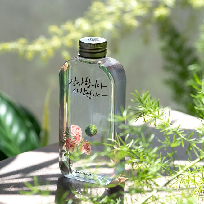 반려식물 마리모 엄마의 소원 시리즈, Thank you, 1개