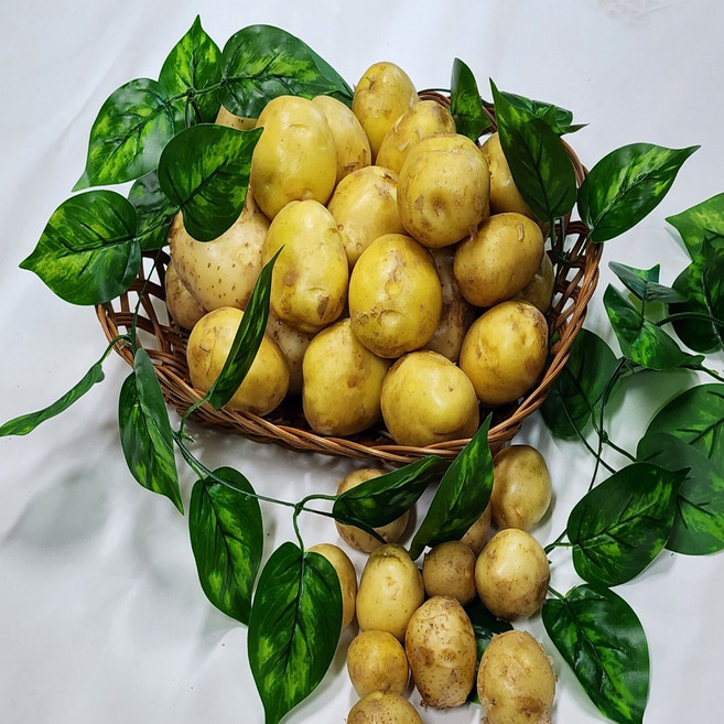 2025년 포슬포슬 수미 감자 4kg 6kg 10kg, 1박스, 감자 조림용 10kg