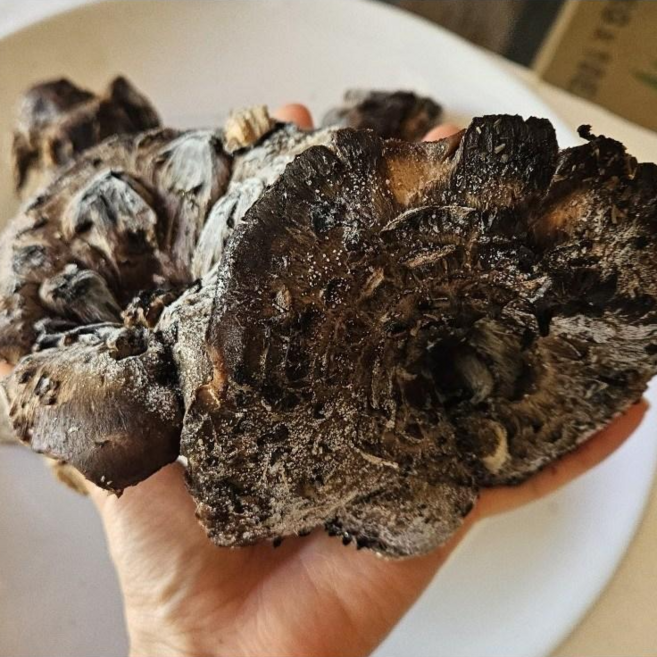 티벳산 냉동능이버섯 A급 1KG, 5개