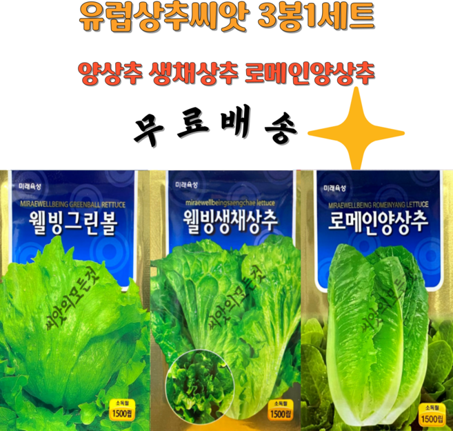 서양상추씨앗 유럽상추종자 양상추 생채 로메인양상추 3봉1세트, 3개