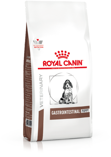 [로얄캐닌] 독 가스트로인테스티널 퍼피 1kg, 1개, 곡물