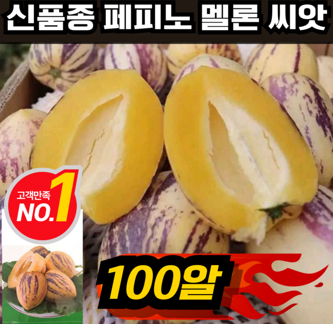 [A급]우휴향 황금 페피노 멜론 씨앗 신품종 크림향 노란과육 인생과 종자 혈당괄리, A급 100알