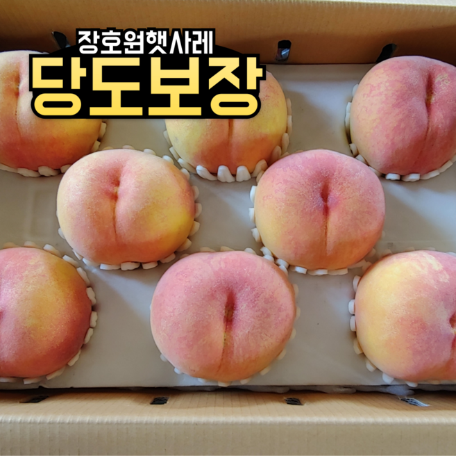 프리미엄 복숭아 햇사레복숭아 백도 황도 가정용 선물용, 1박스, 정품 복숭아(백도) 3kg - 11~12과