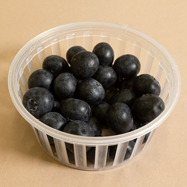 국산 프리미엄 생 블루베리 생과, 5개, 국산 생블루베리 대-특대 100g