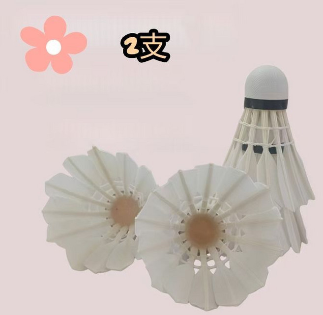 羽毛球 業餘訓練款 入門學生 12只球, 1個, 【.羽球球】+（鶿鴣   1+1支）