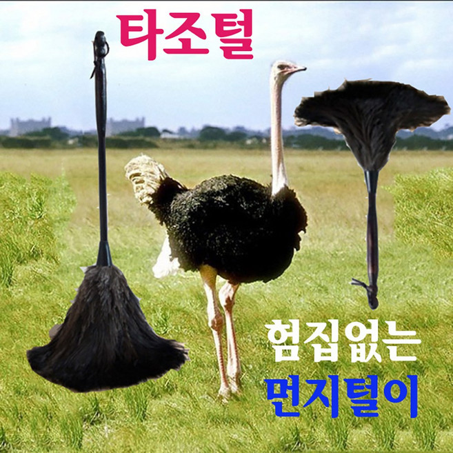 정전기없는 타조깃털 오필리아 먼지털이개, 1개