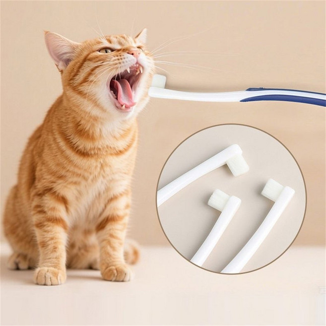 애견칫솔 강아지칫솔초소형 고양이 구강 관리 칫솔, 1개