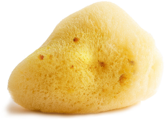 라그랑 세안용 뷰티 천연 해면 스폰지 라지, 옐로우, 1개