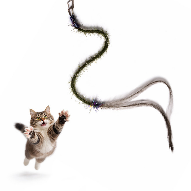 1분마켓 휘리릭요술지렁이 고양이 낚시대용 리필 장난감 깃털 스네이크 뱀지렁이, 1개, 단일옵션